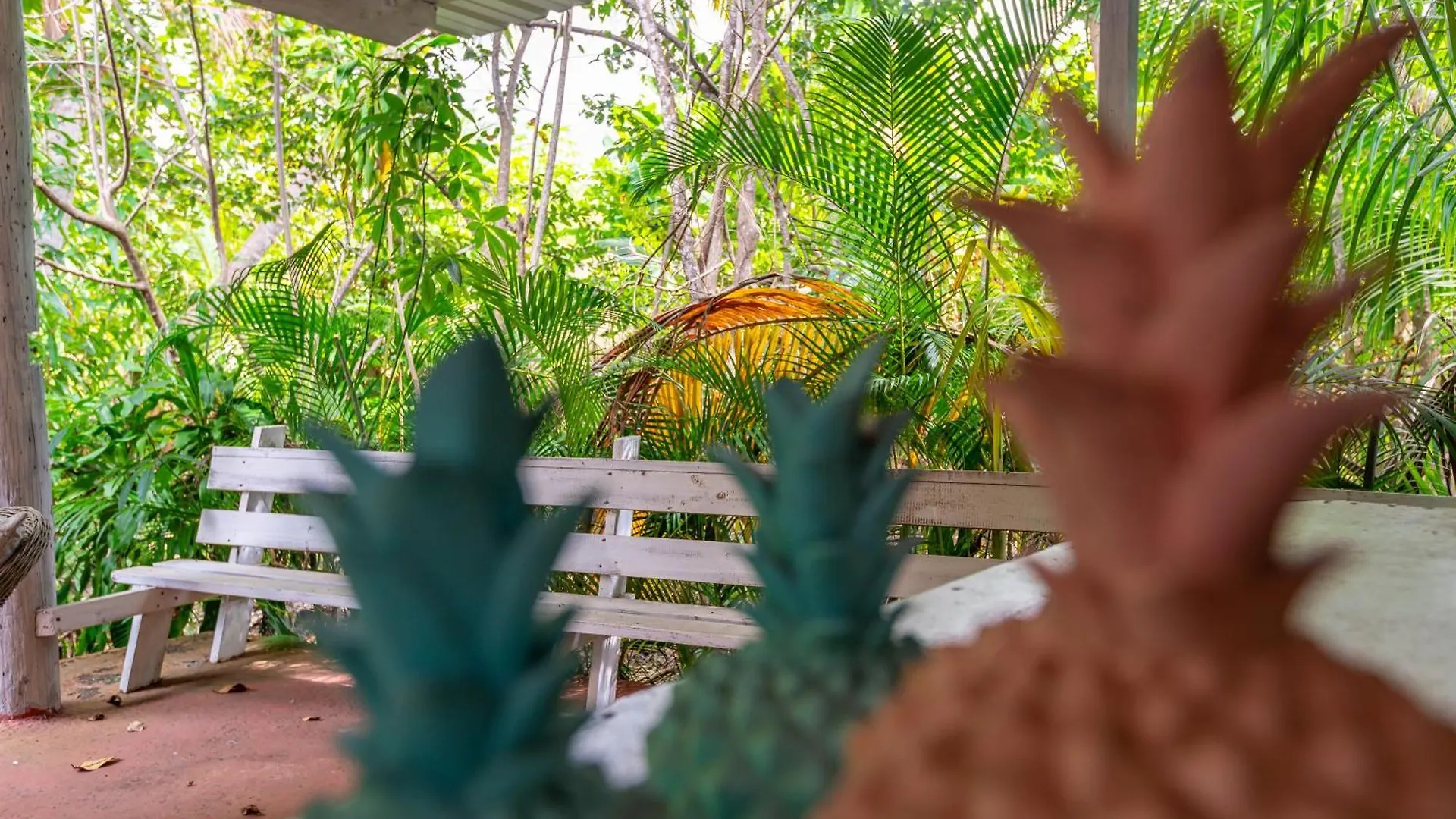 Casa Pina Suave #1 Lägenhet Rincón Puerto Rico